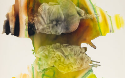 Föredrag om boken Akvarell i Norden